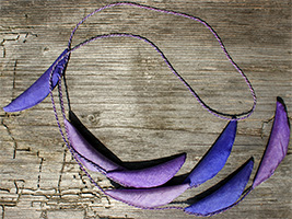 Lunaria violett